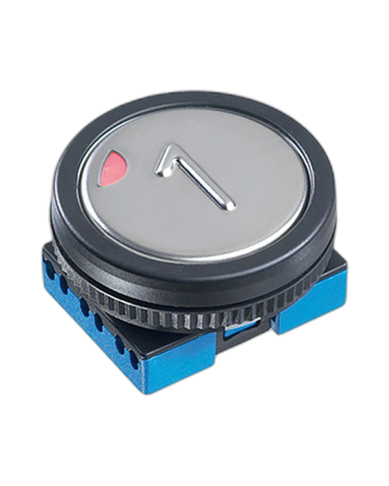 Panel Switches LPI